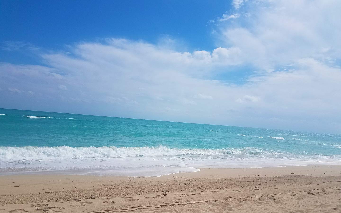 snorkeling in miami miami